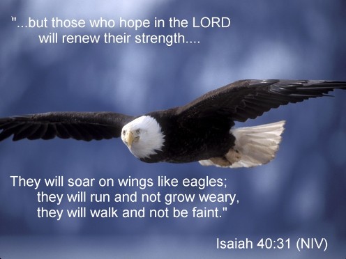 isaiah_40_31_niv2